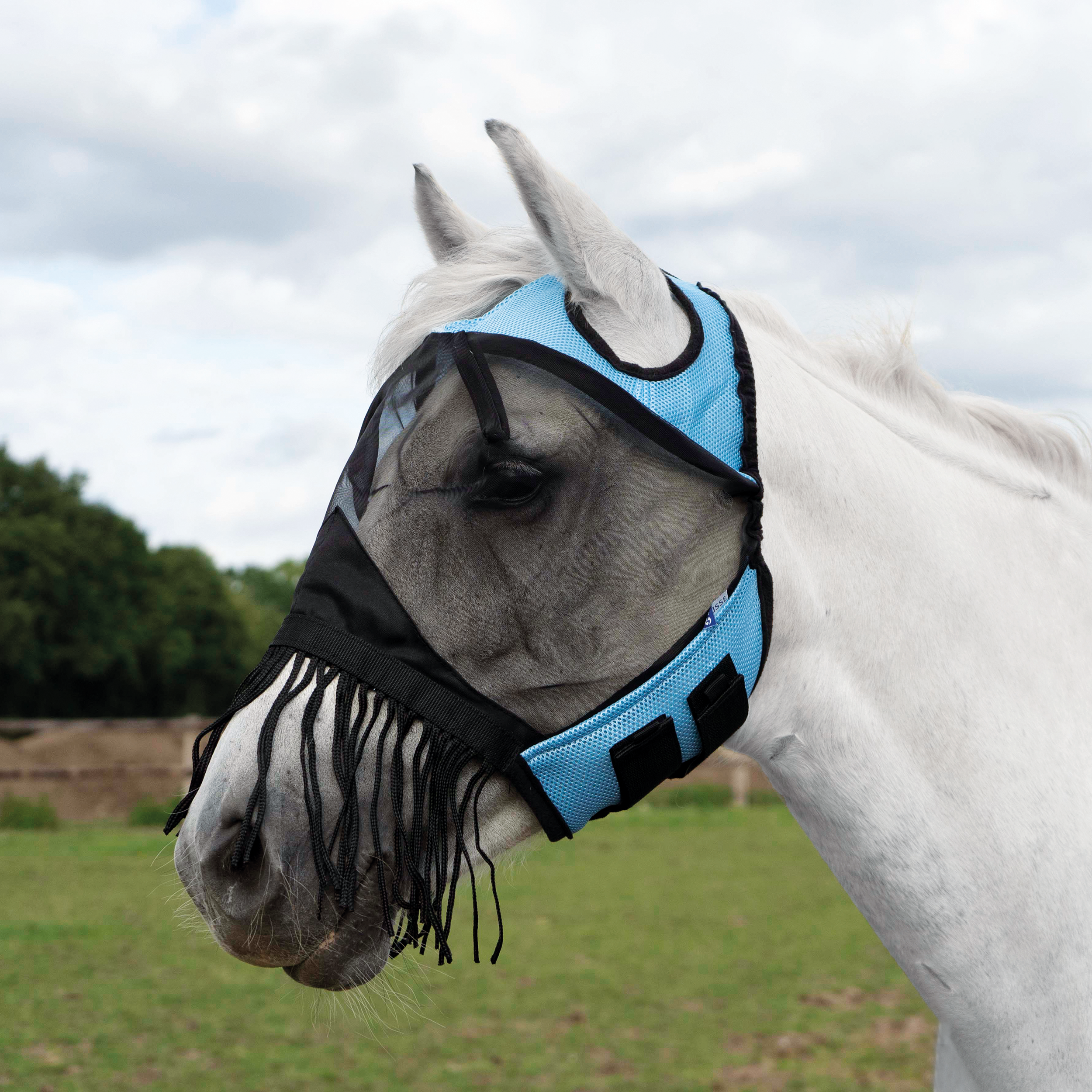 Fliegenmaske Fly Cover Fransen Gap