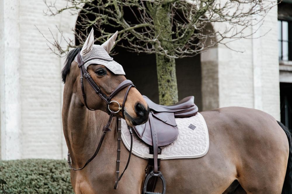 Fly ears Wellington Basic Velvet