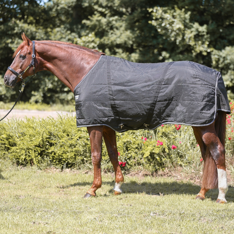 Couverture étalon "Stallion" 400g
