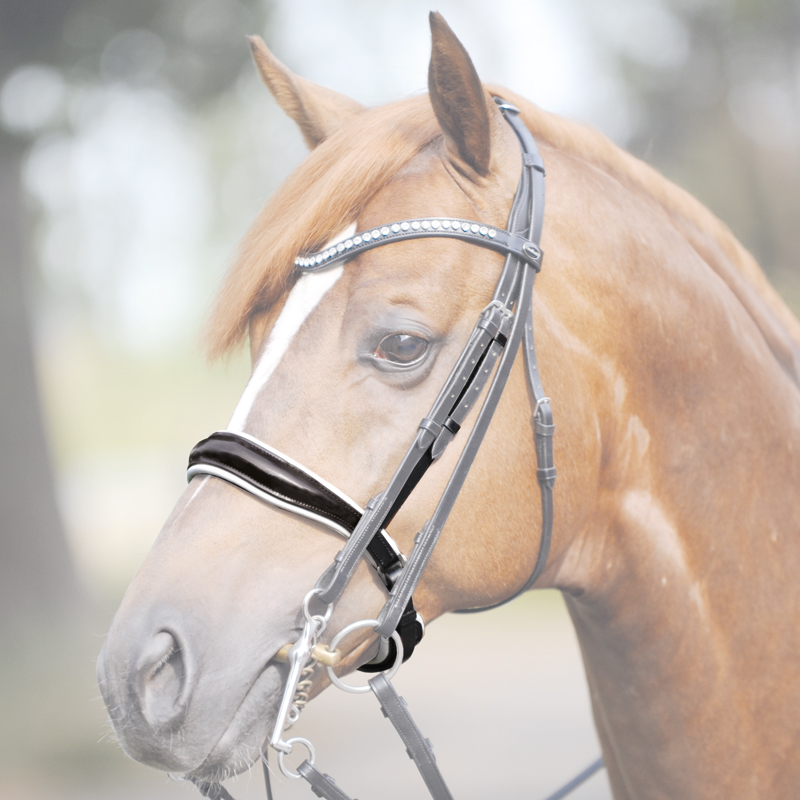 Schwed.-komb. Reithalfter  "Kandare Antonia"