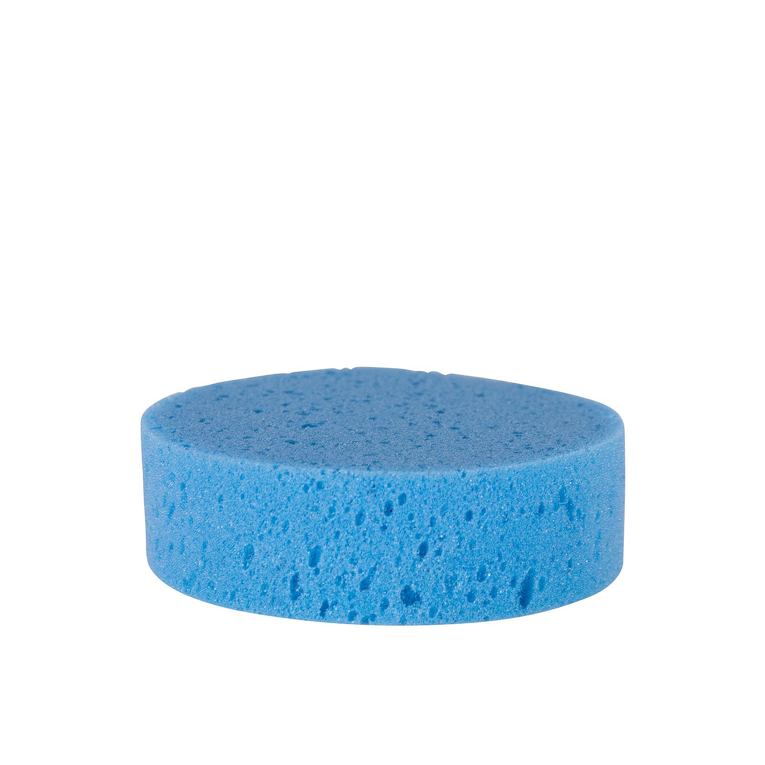 Schwamm in blau