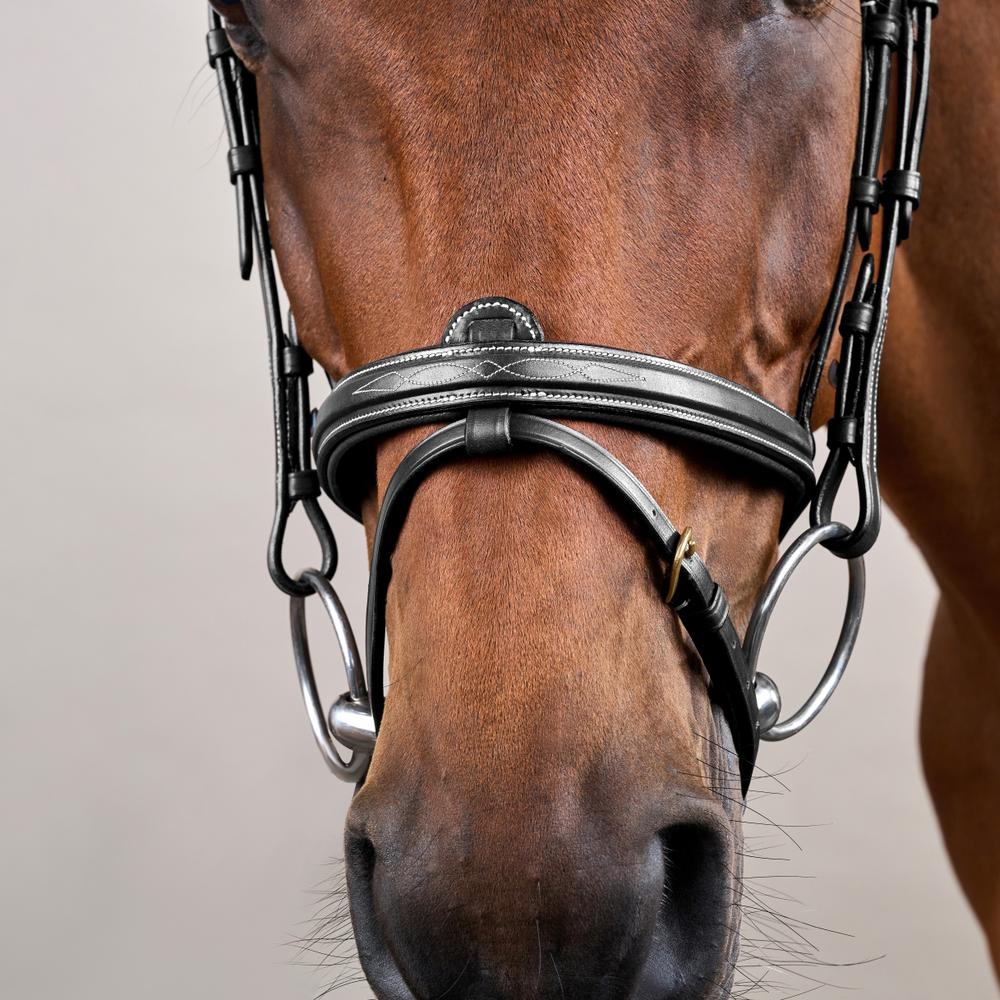 Bridon combiné