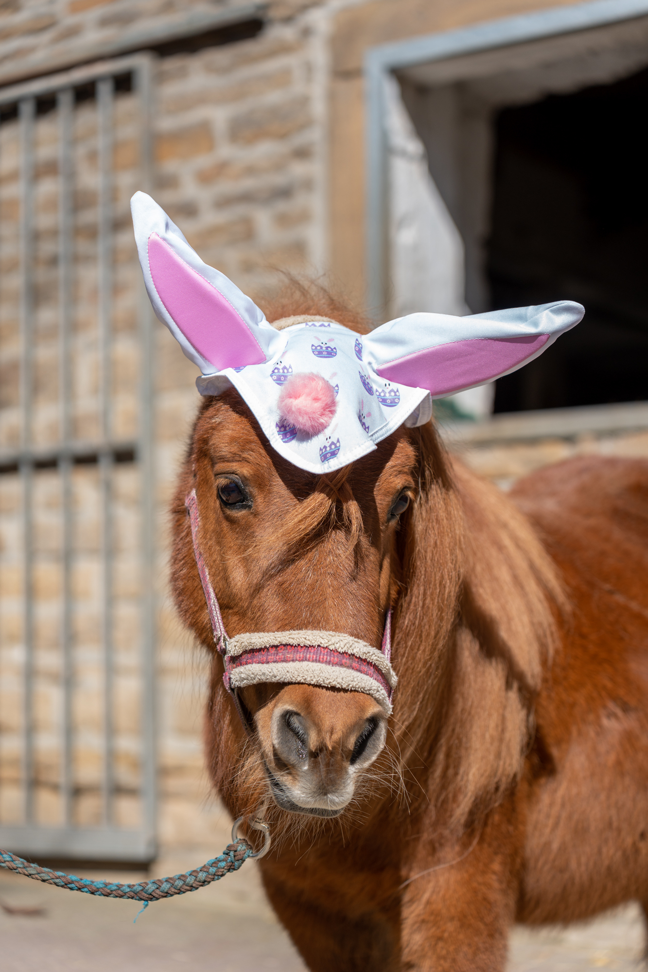 Easter Bunny fly ears