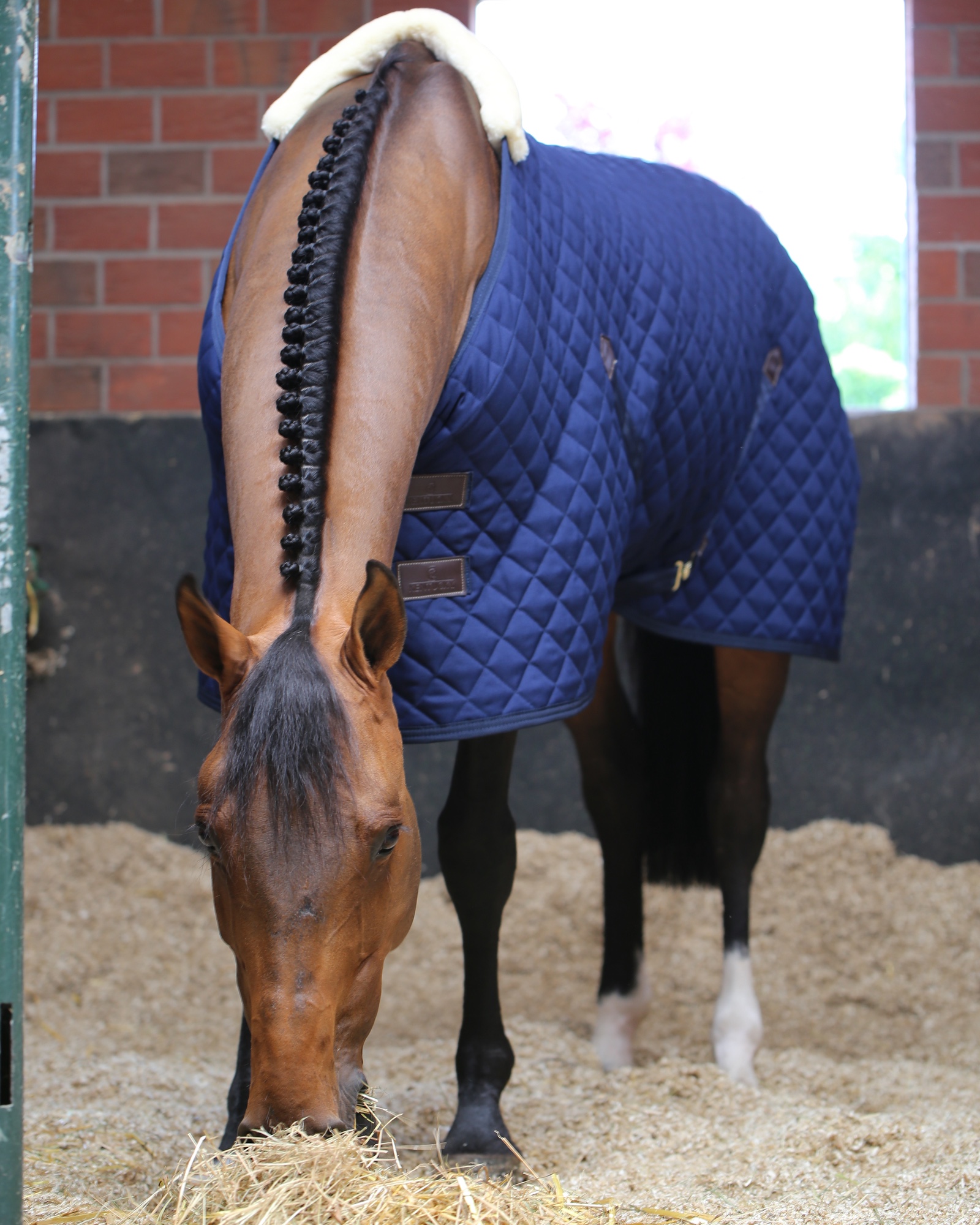 Stable rug 400g