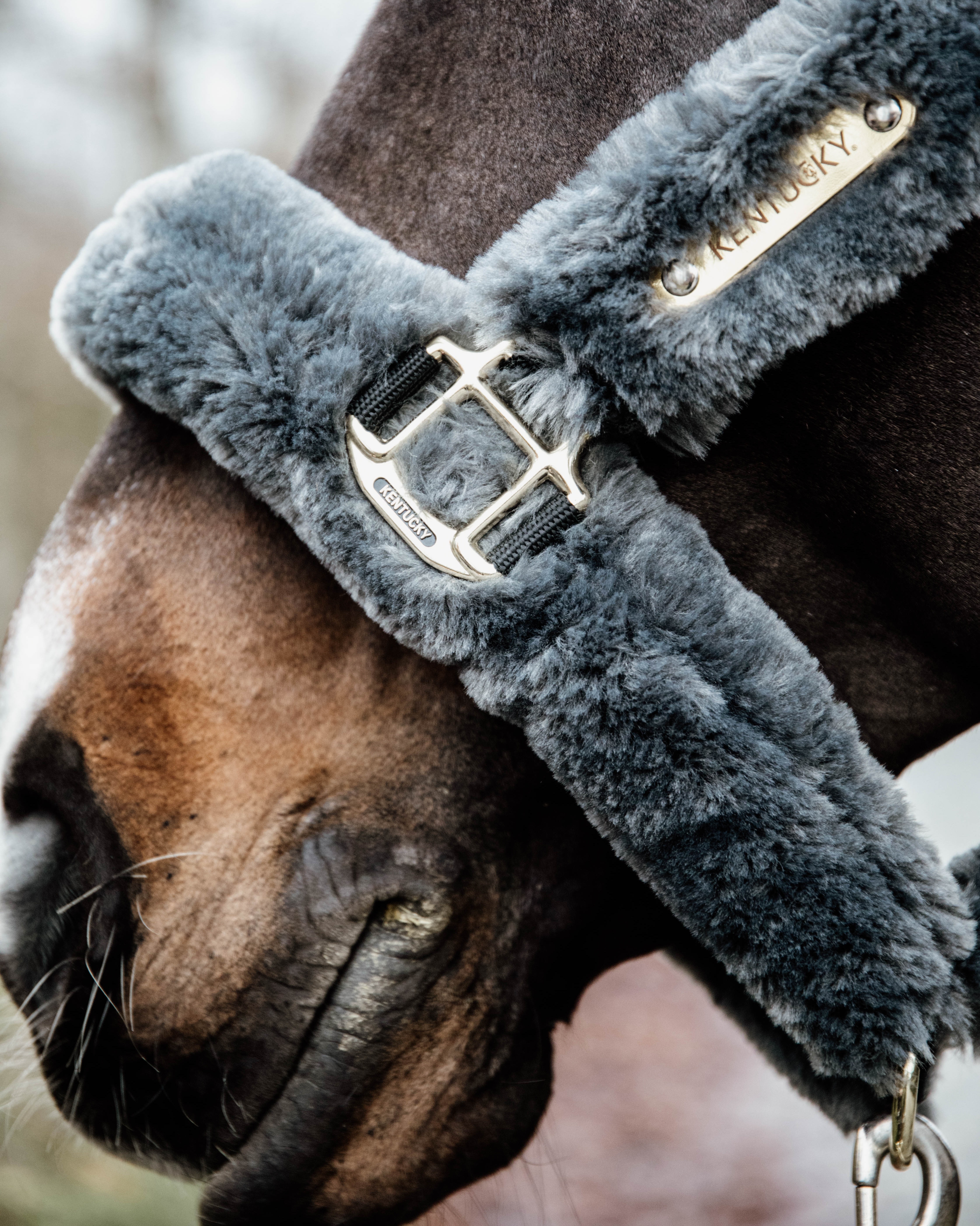 Lambskin halter transport