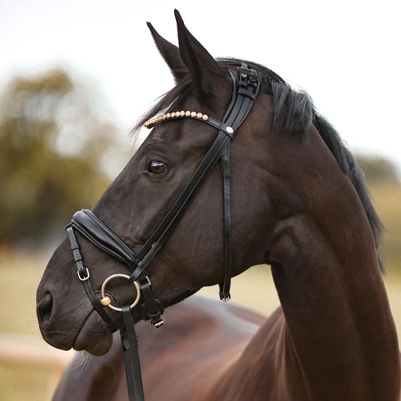 Bridle "Fortuna" swedish comb.
