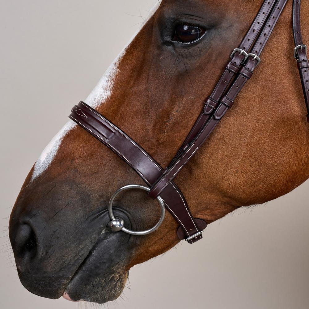 Cavesson Hunter Trense mit englischem Reithalfter US