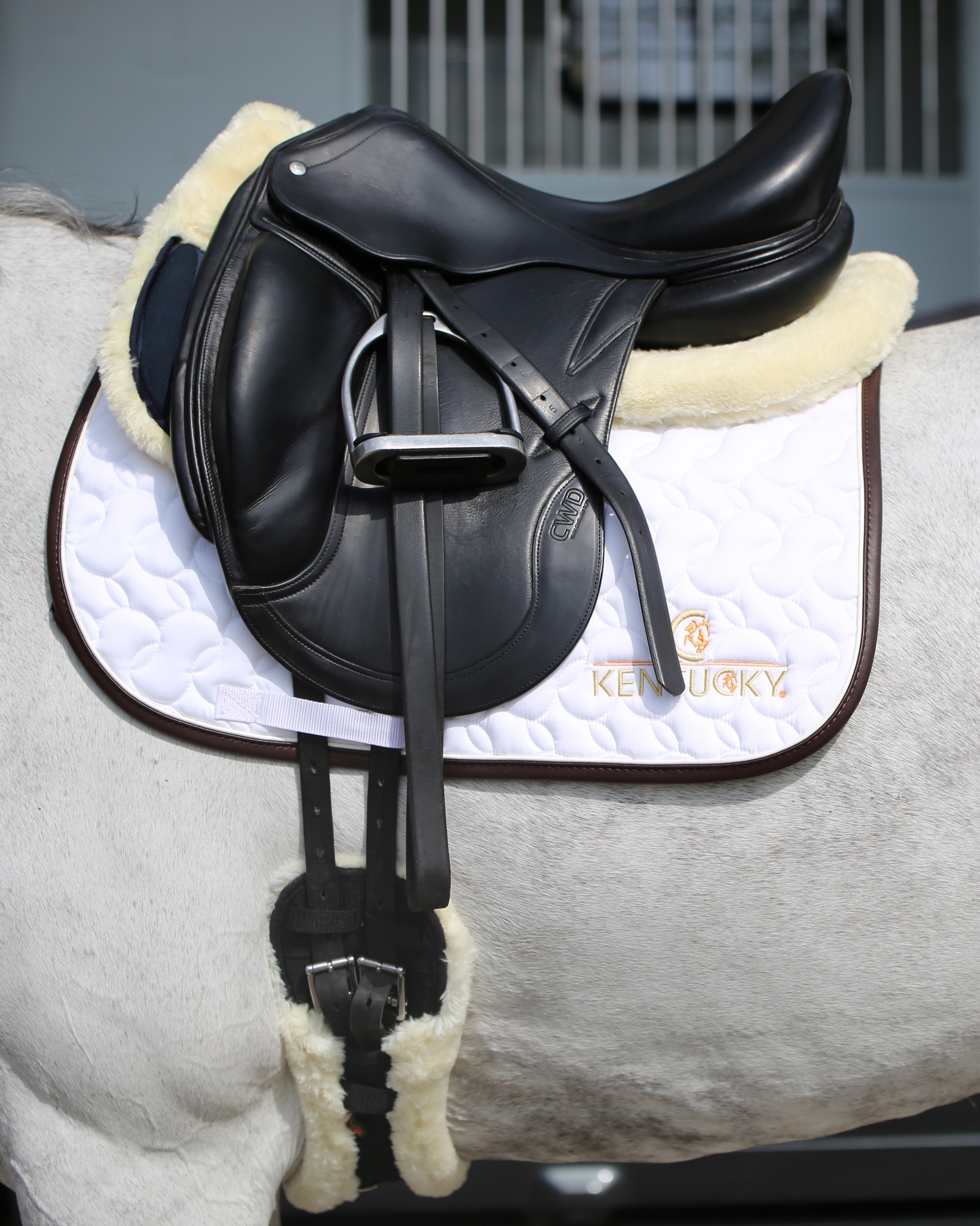 Saddle pad Absorb