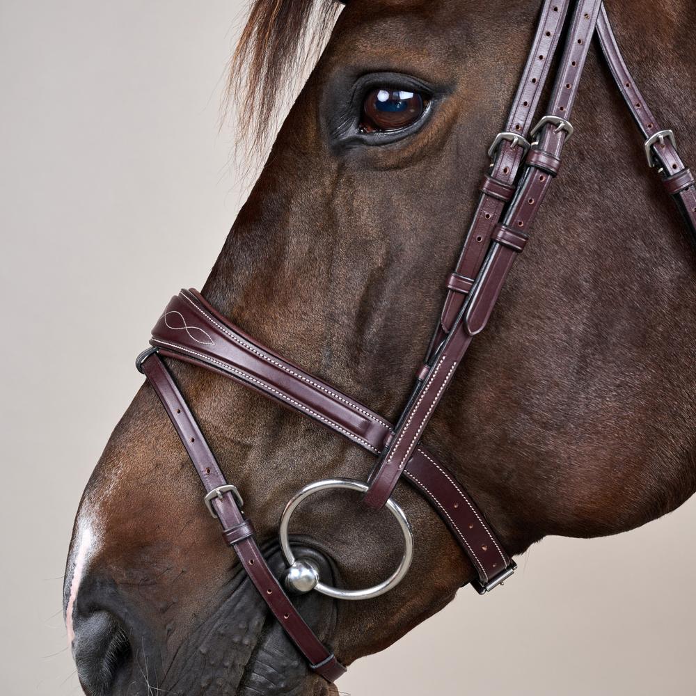 Bridon Hunter combiné