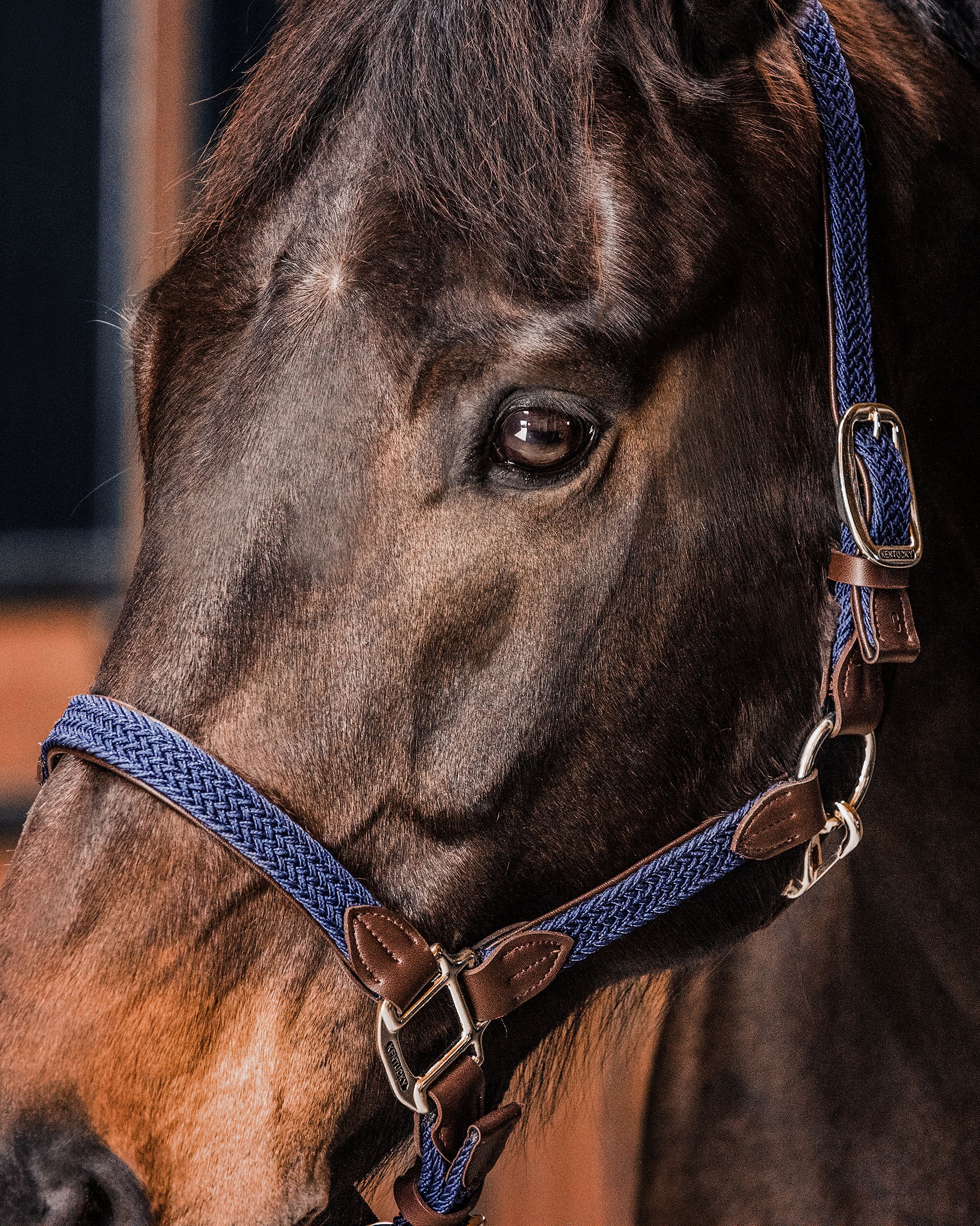 Halter Braided Nylon