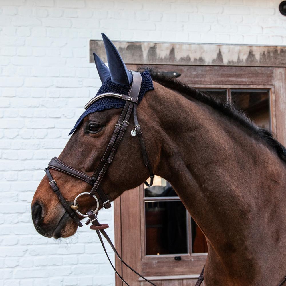Fliegenhaube
