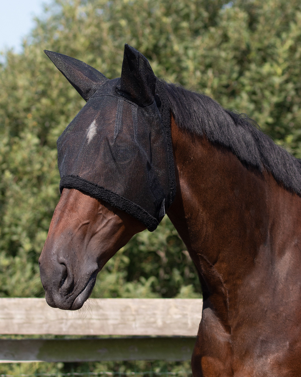 Fly mask with ears