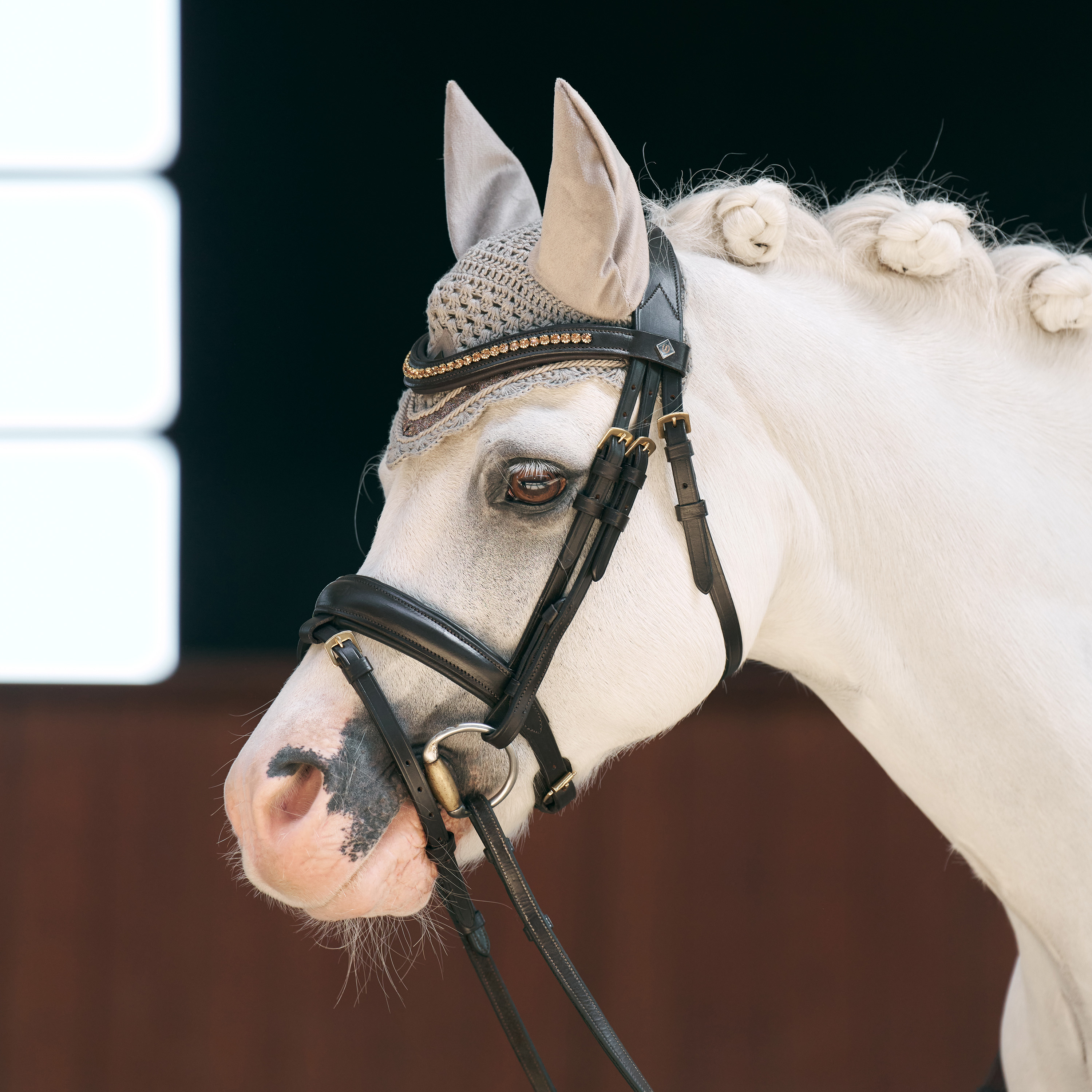Fliegenhaube Bandit