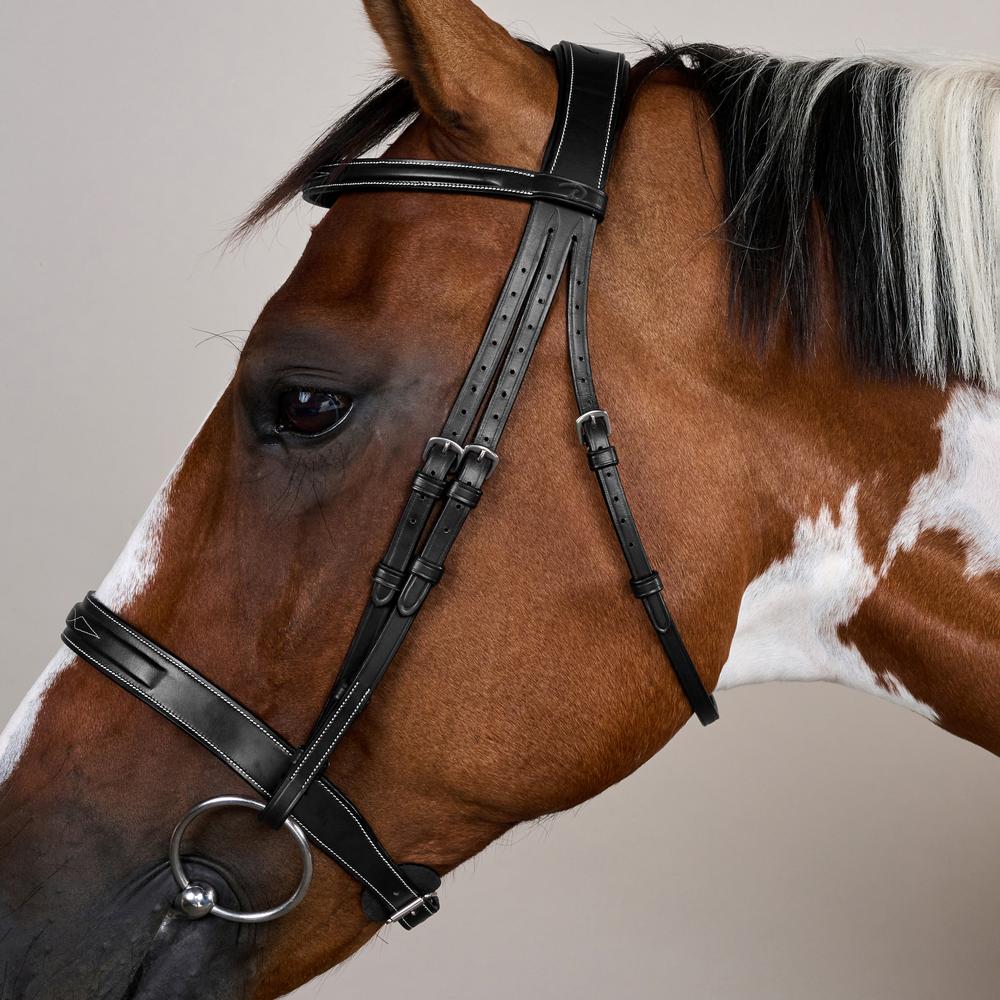 Cavesson Hunter Trense mit englischem Reithalfter US