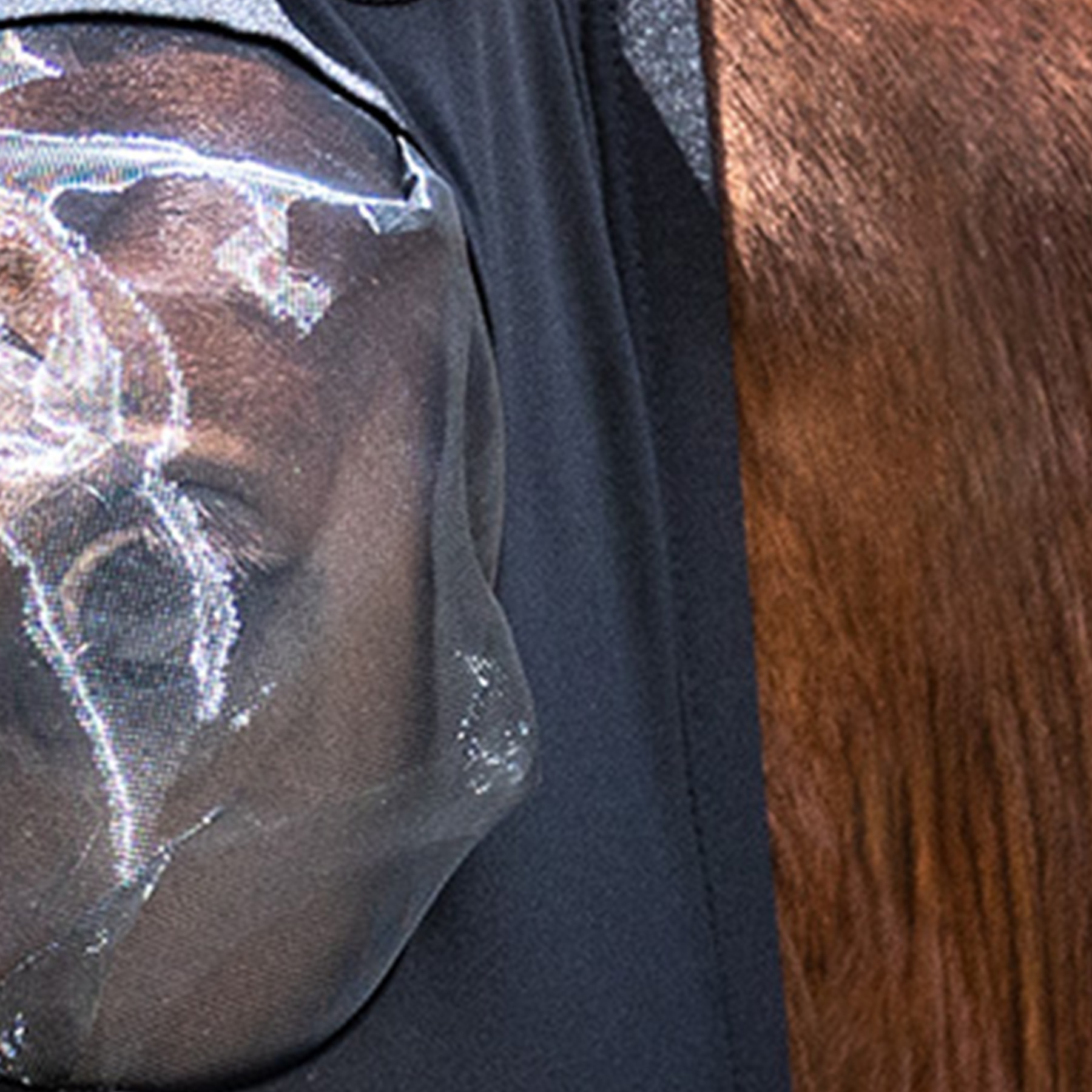 Puck fly mask Puck fly mask