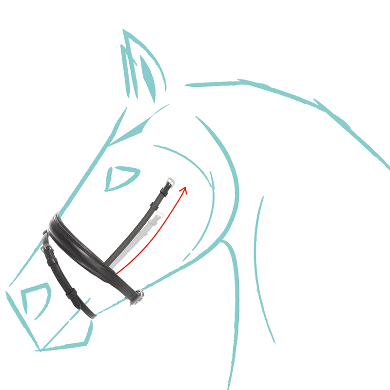 Narrow combined noseband "Cre8" special size Narrow combined noseband "Cre8" special size