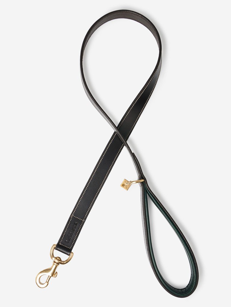 Windsor dog lead
