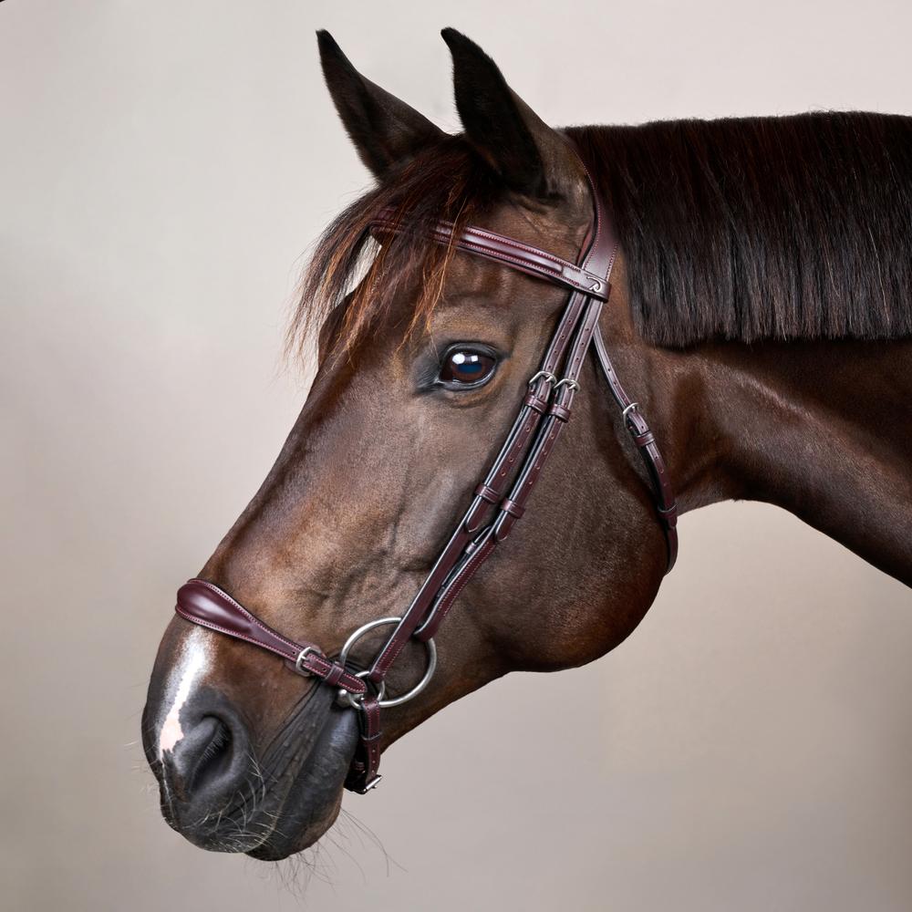Trense mit verstellbarem hannoverschem Reithalfter NE