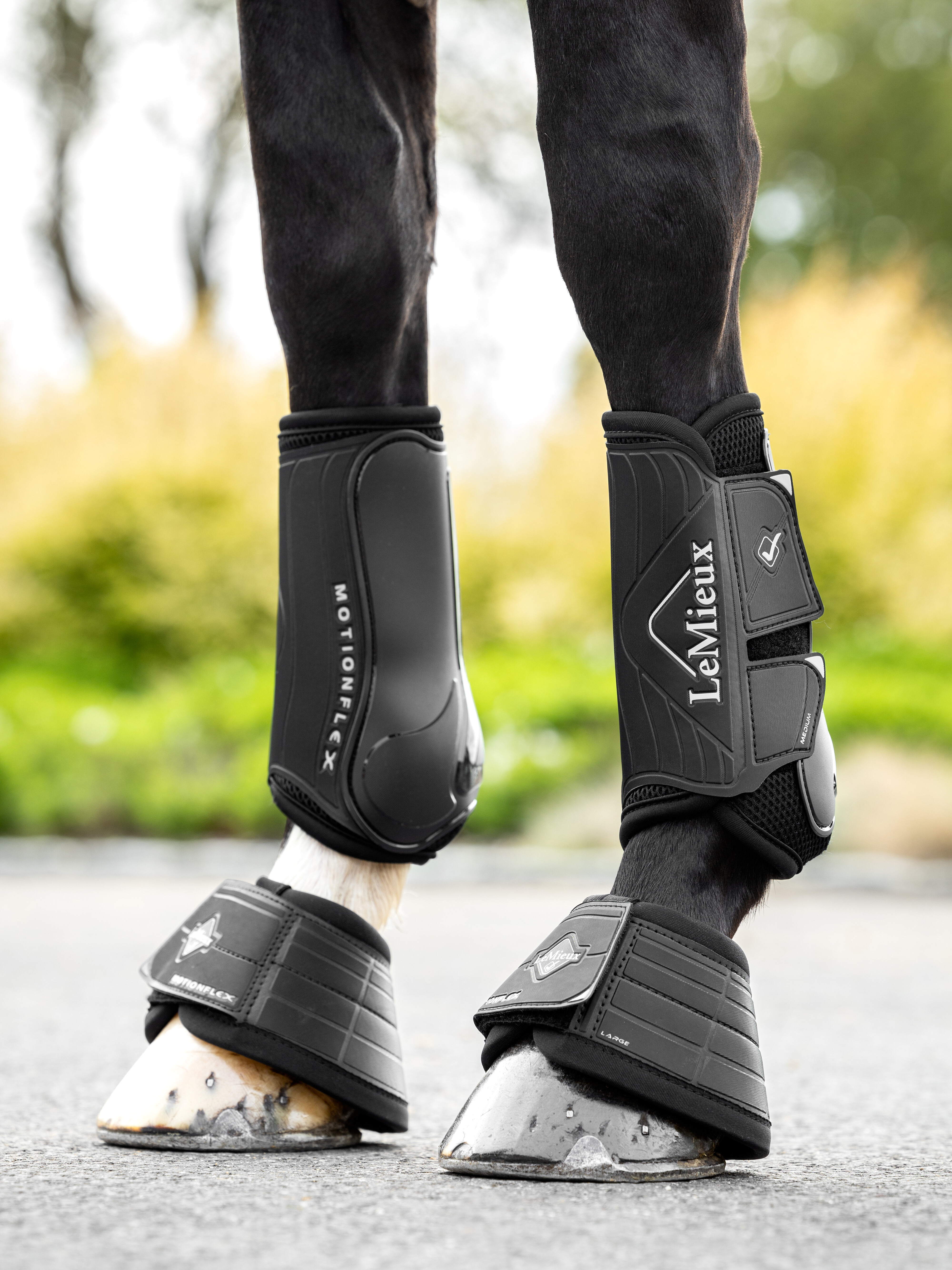Motionflex dressage boots