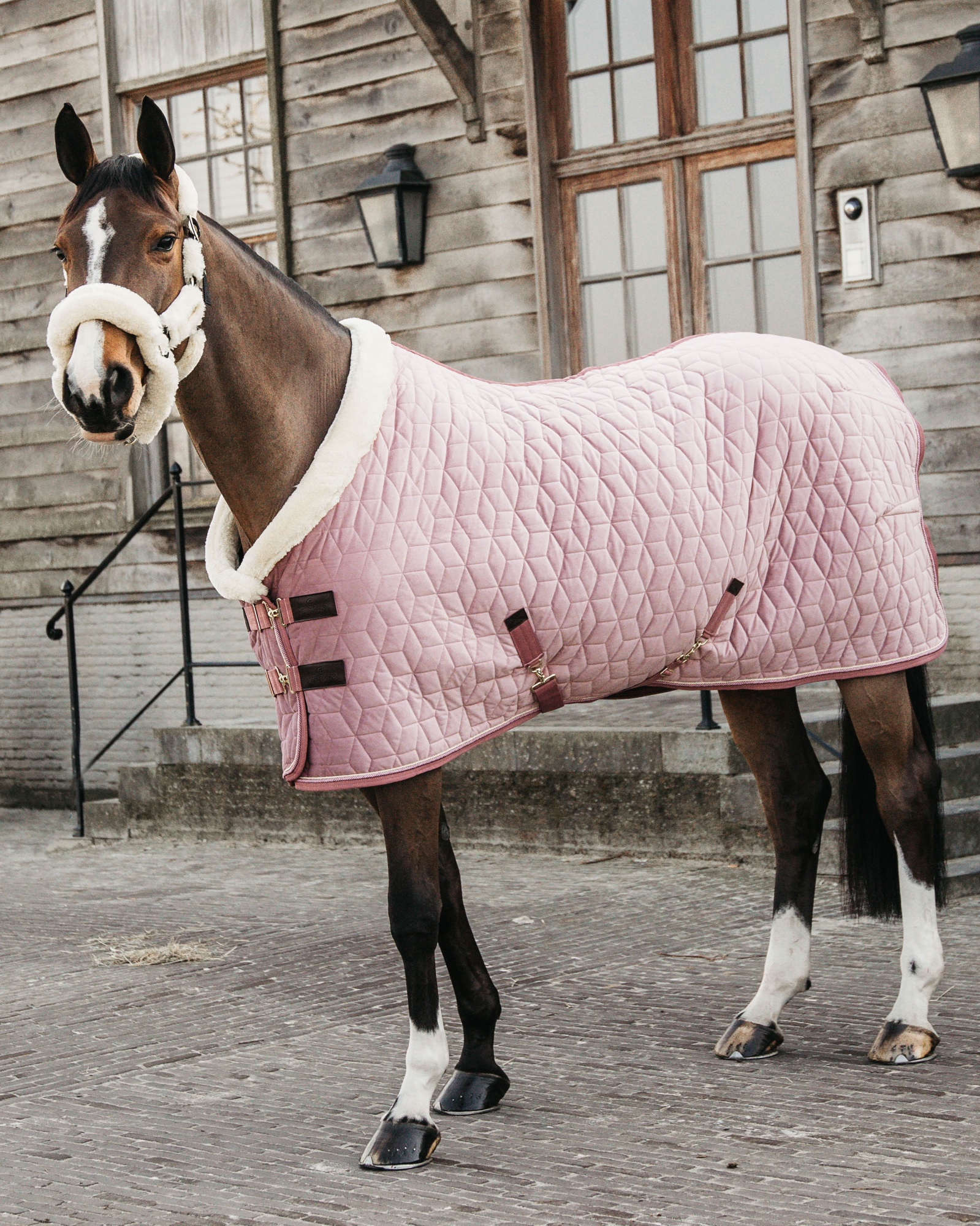 Show rug Show Rug Velvet 160g