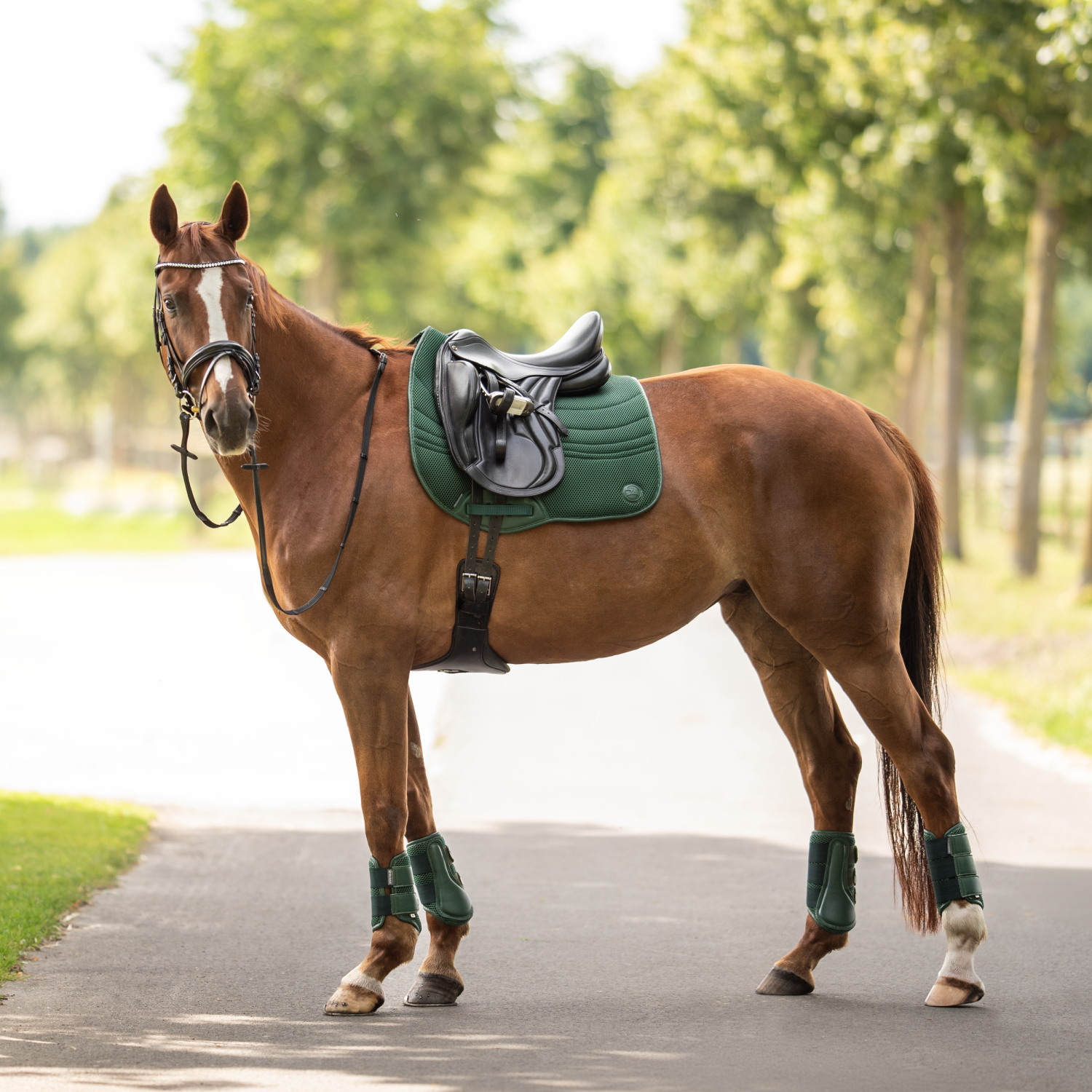 Schabracke 3D Air Effect