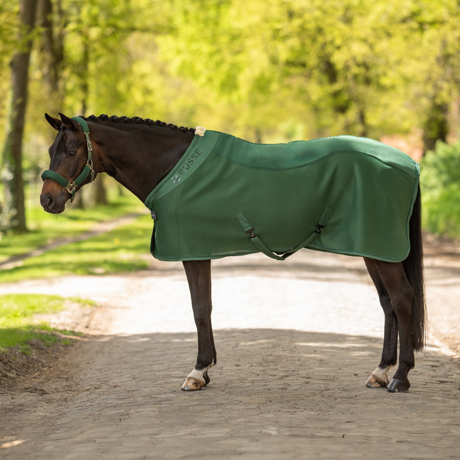 3D Air Fleece Premium sweat rug