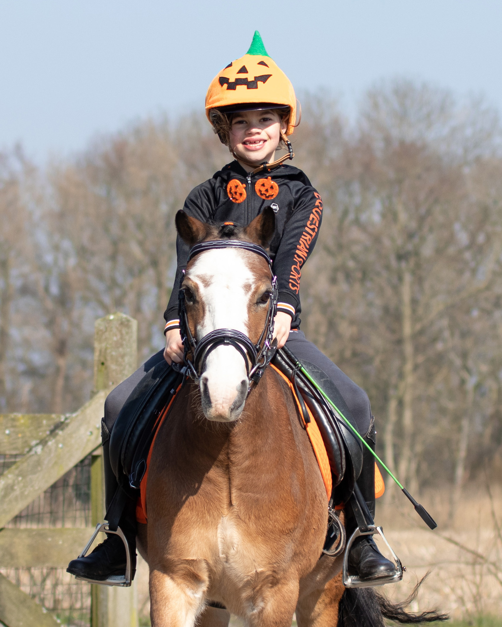 Halloween riding helmet cover