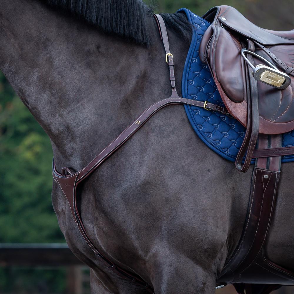 Vorderzeug mit langer Brücke | Dy'on