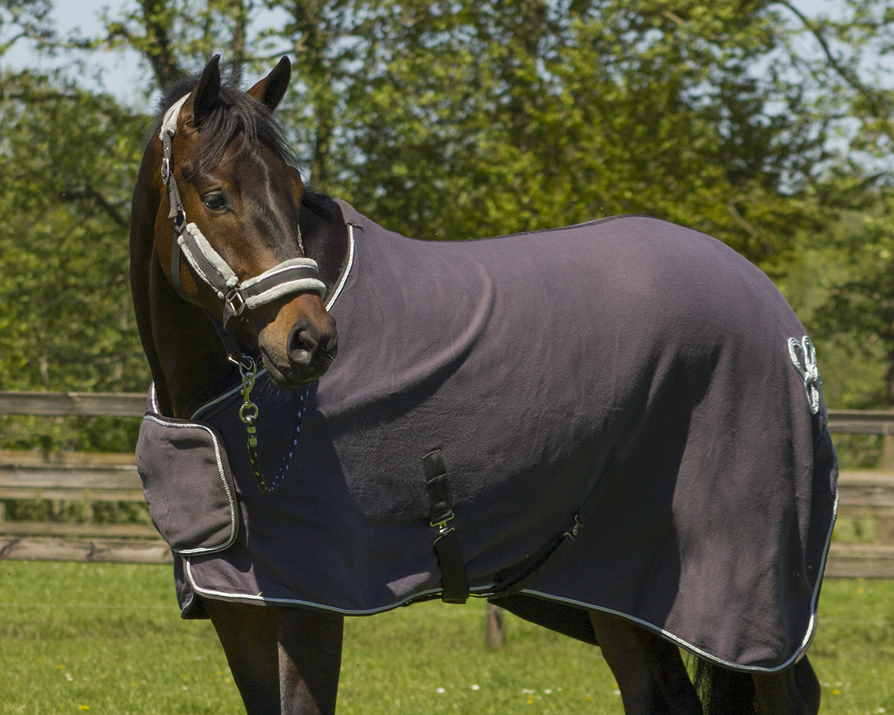 Sweat rug with ornament