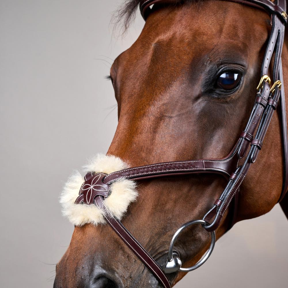 Trense mit geflochtenen mexikanischem Reithalfter DY |