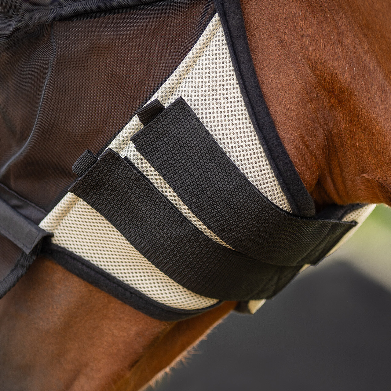 Fly mask with removable nose protection