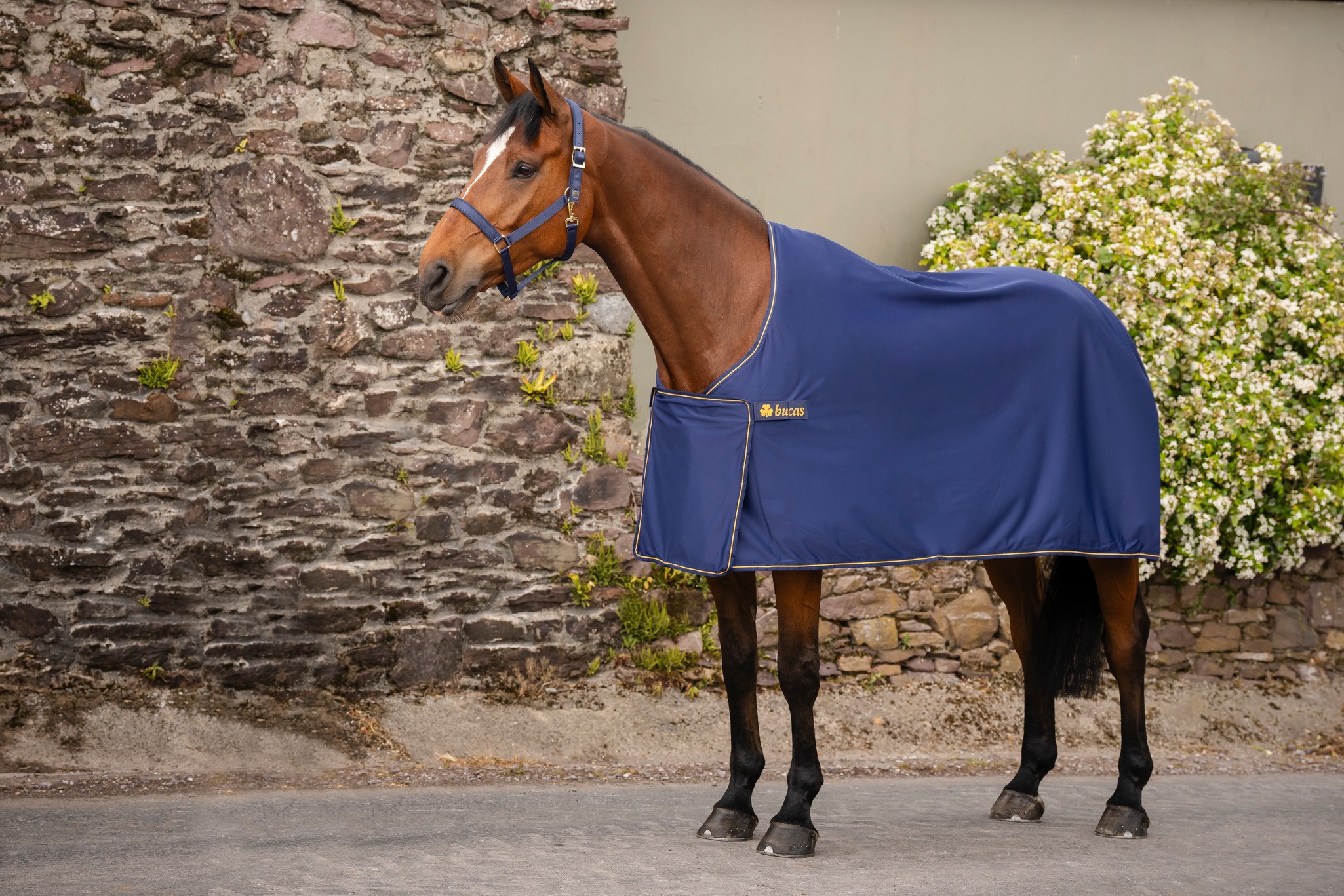 Abschwitzdecke Panel Prize Cooler in Navy/Gold