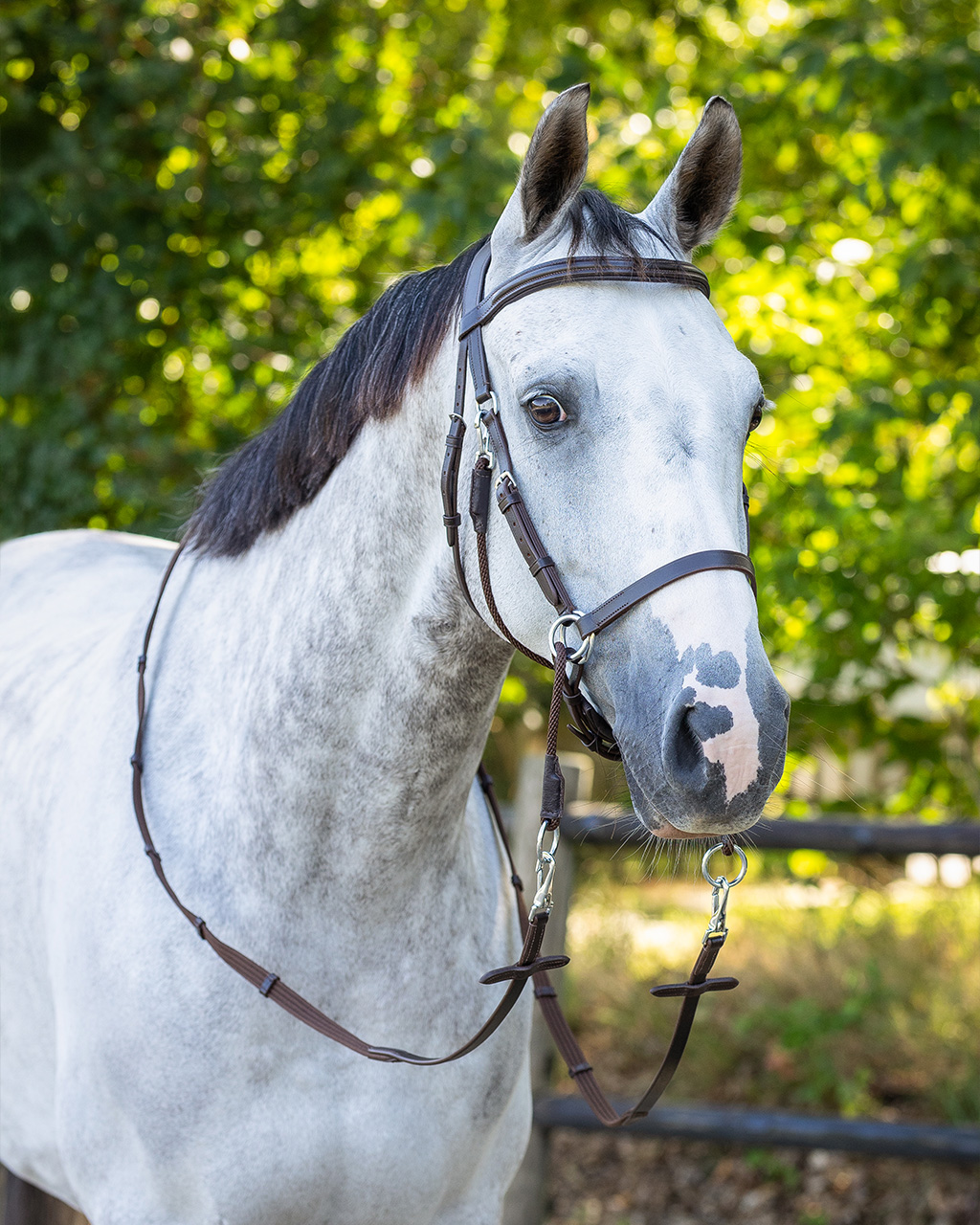 Snaffle bitless Ceto
