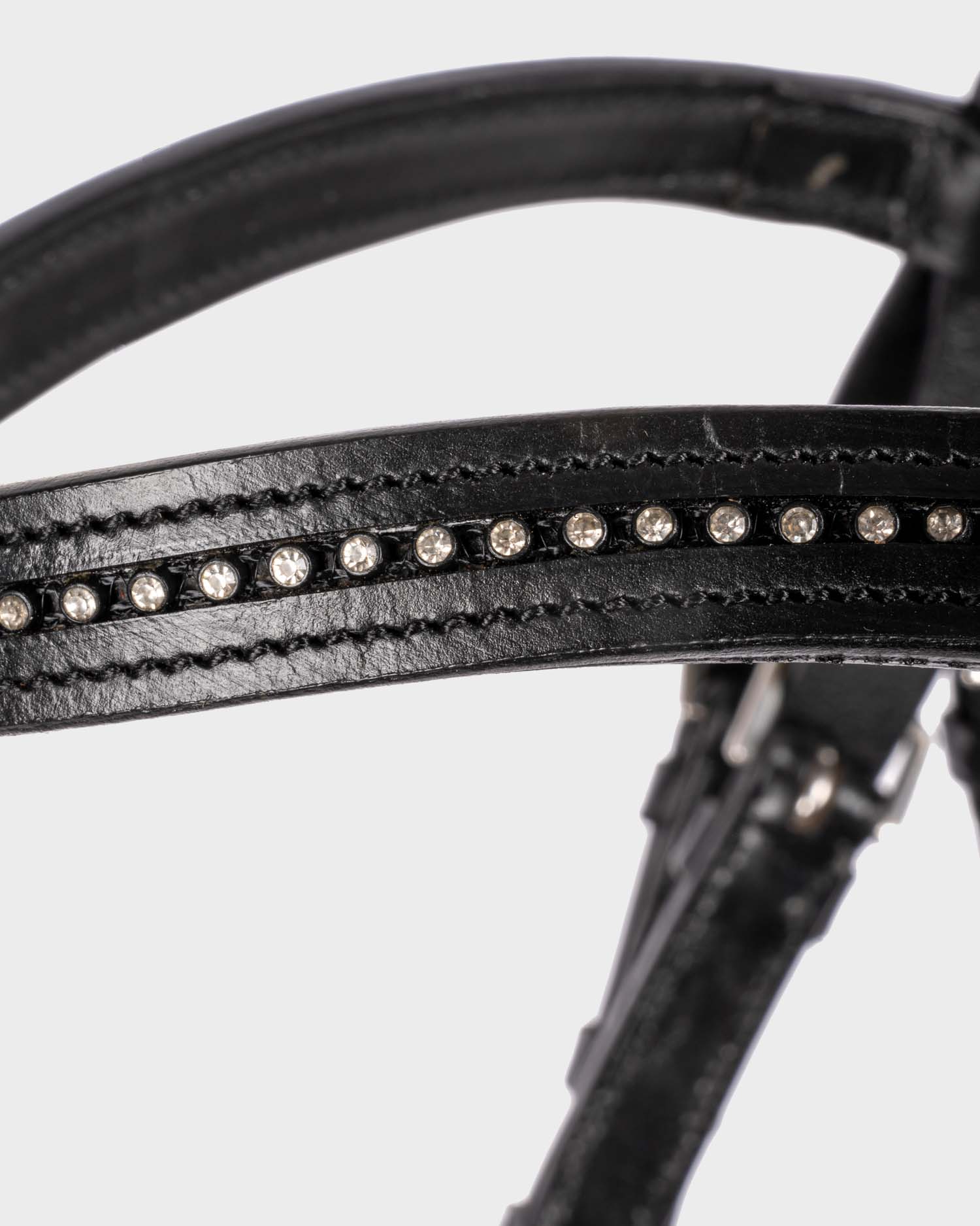 Snaffle Feeling