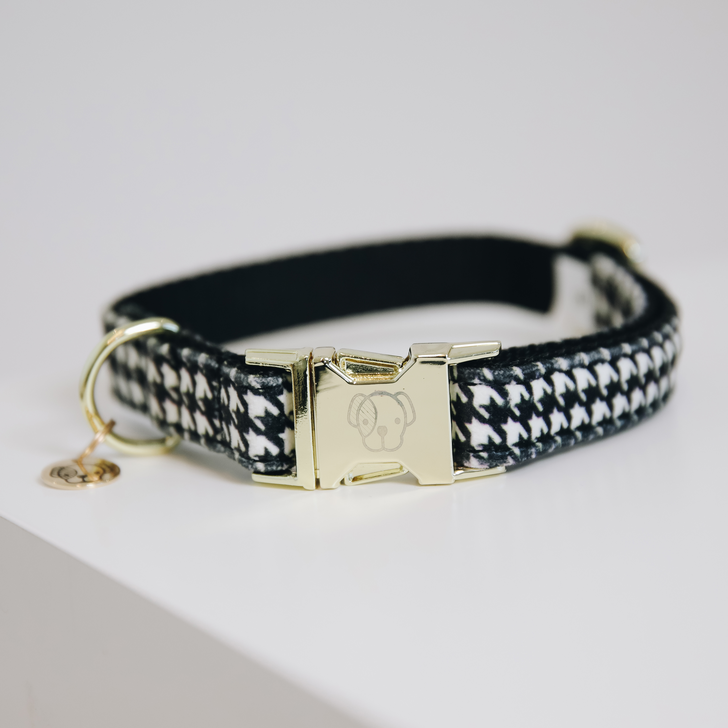 Pied-de-Poule dog collar