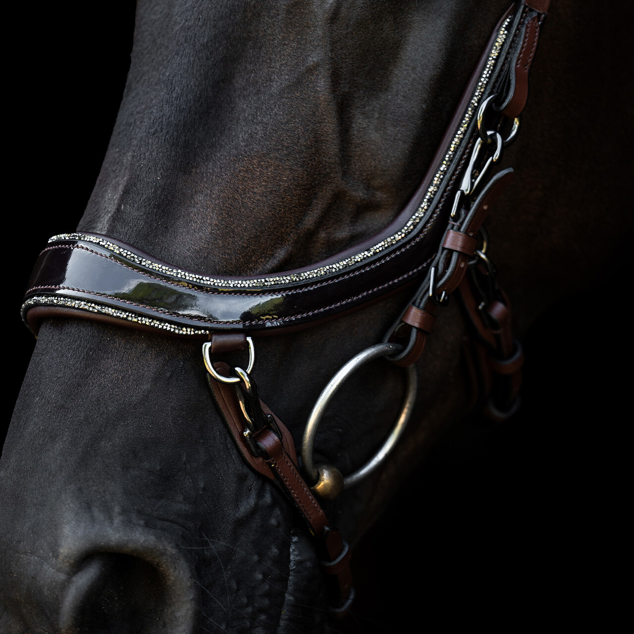 Bridle FaySport Glitter