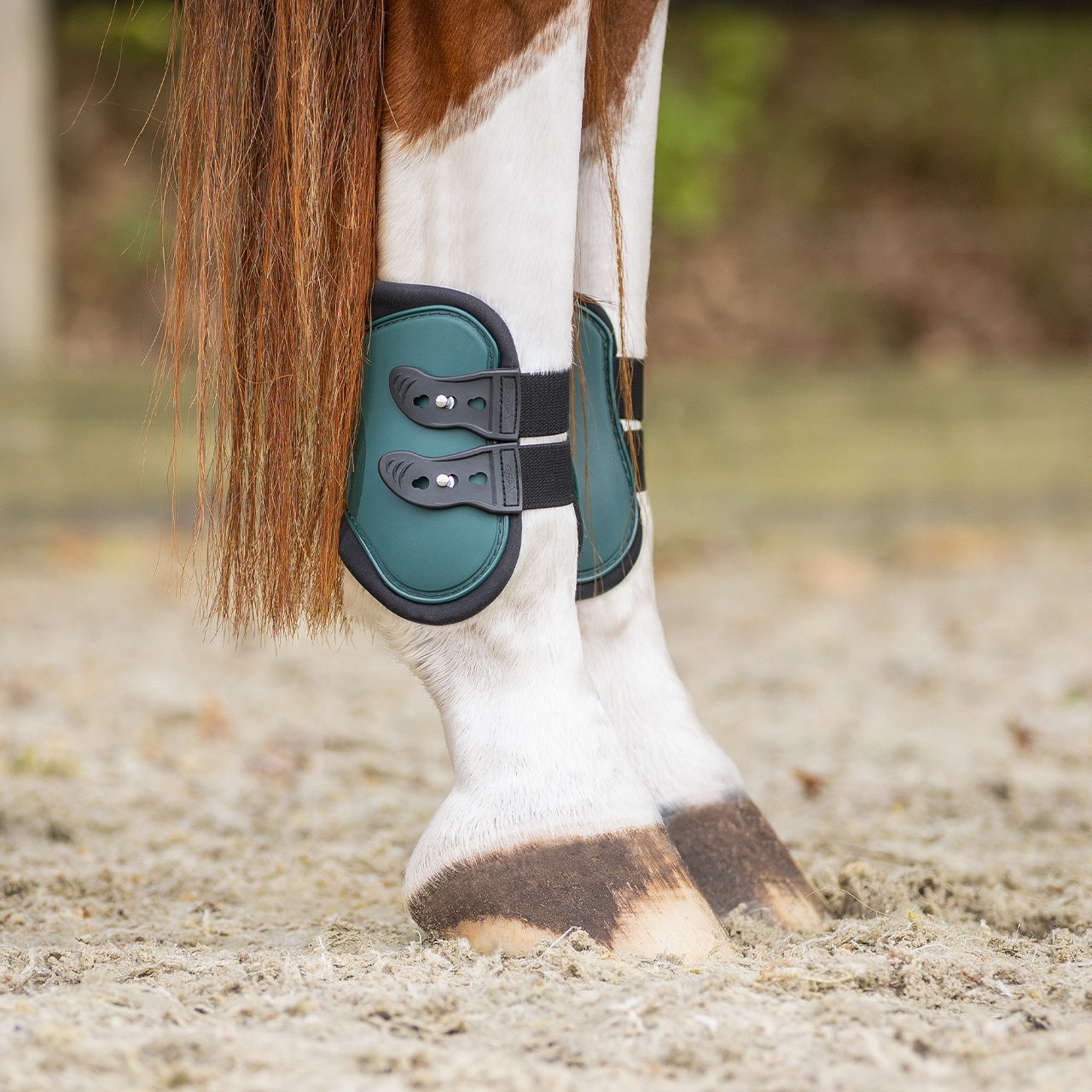 Gaiter set