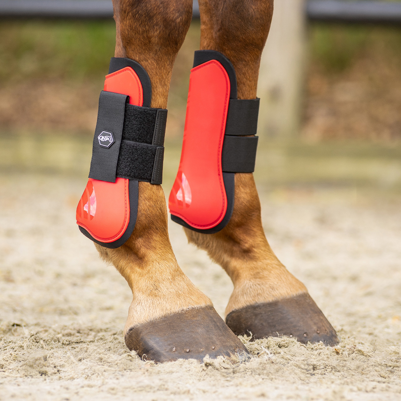 Gaiters