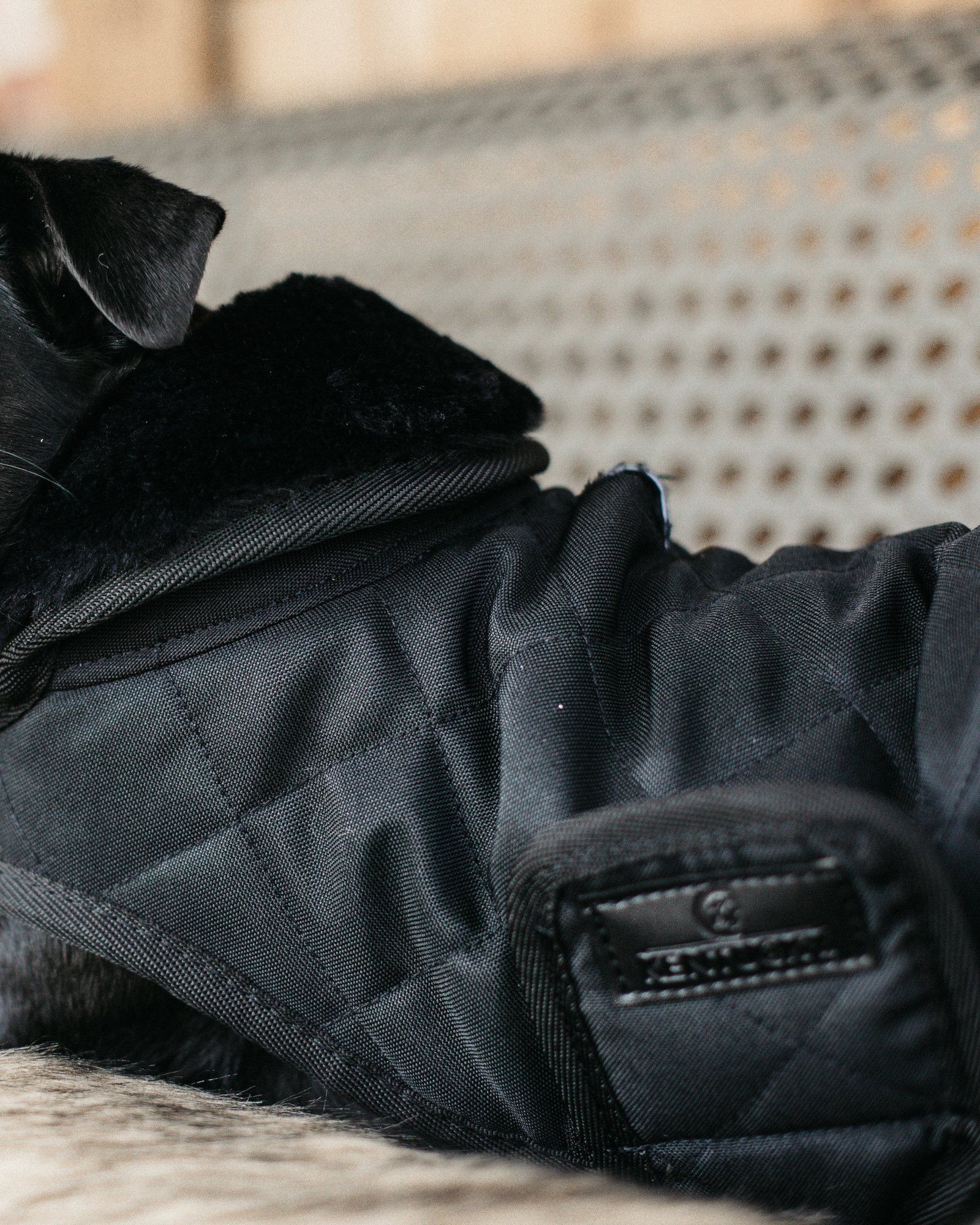 Original dog coat
