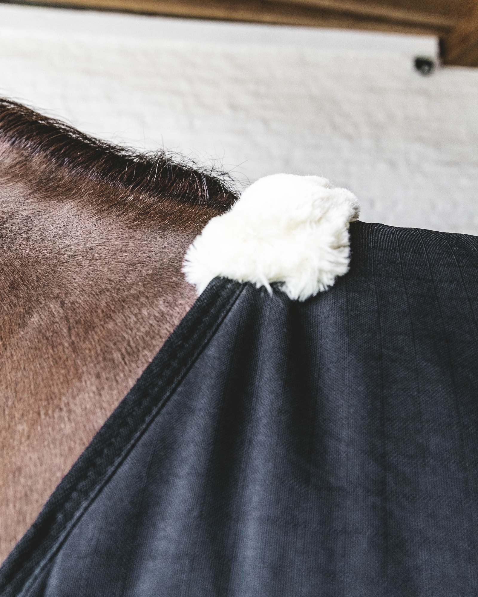 Stable rug Classic 100g