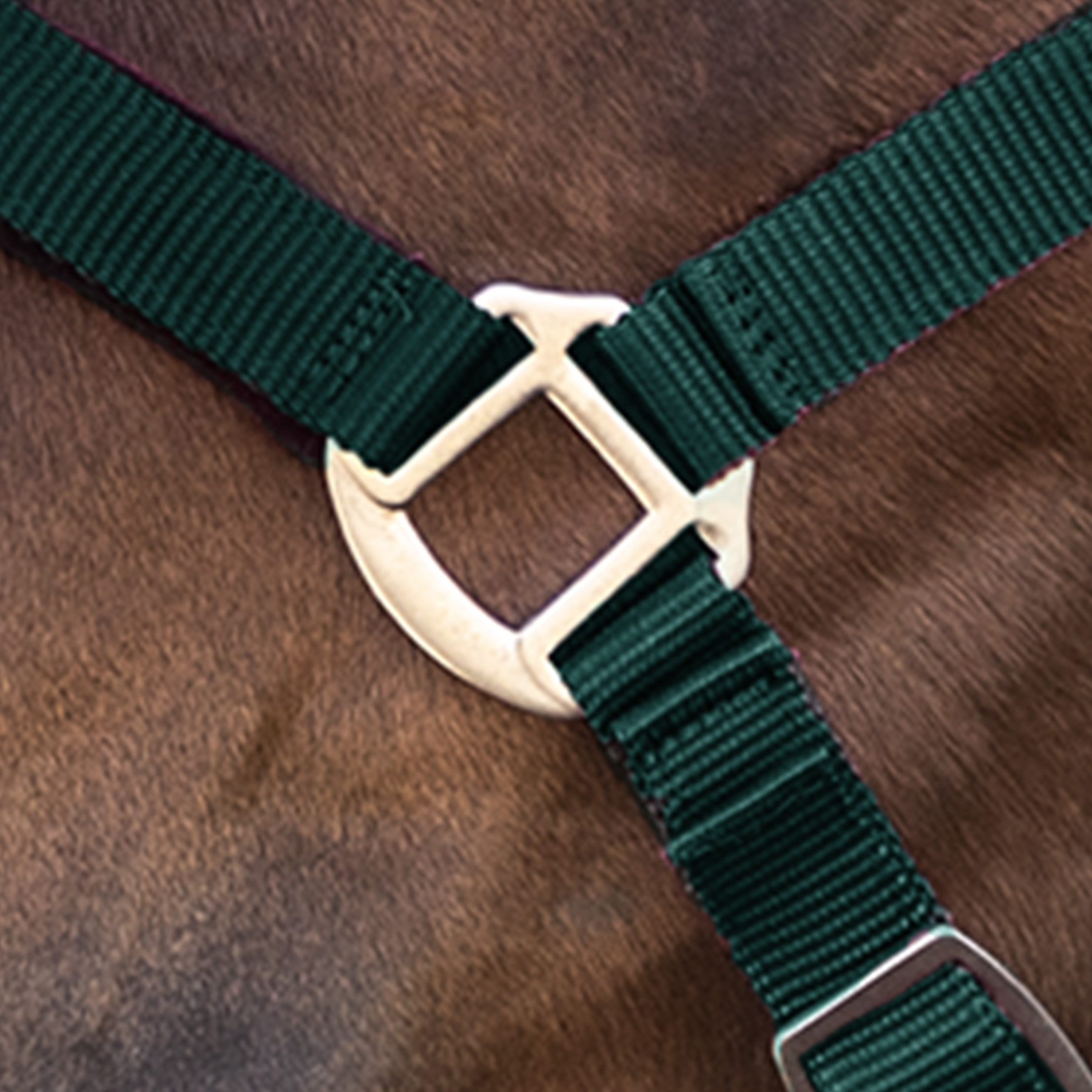 Perlonhalfter Satin