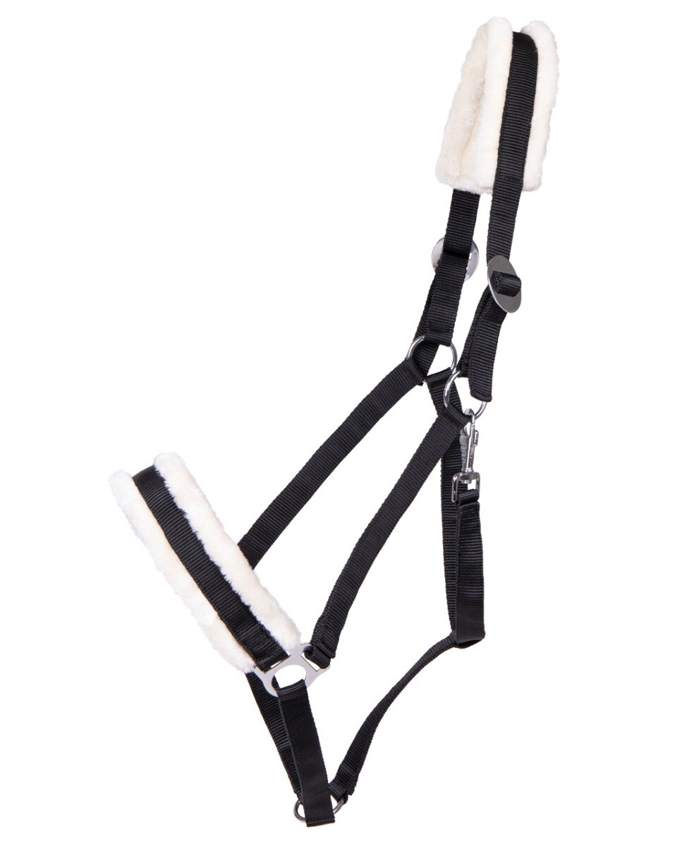 Halfter Cali Zugpferd