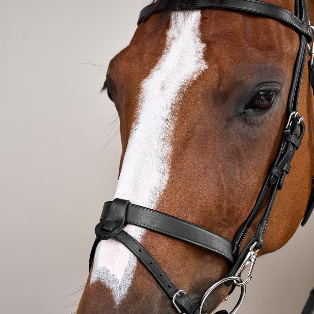 Trense aus Flachleder mit Karabinern in schwarz