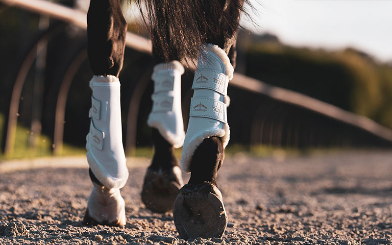 Veredus TRB Gamaschen