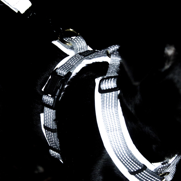 Active reflective dog harness