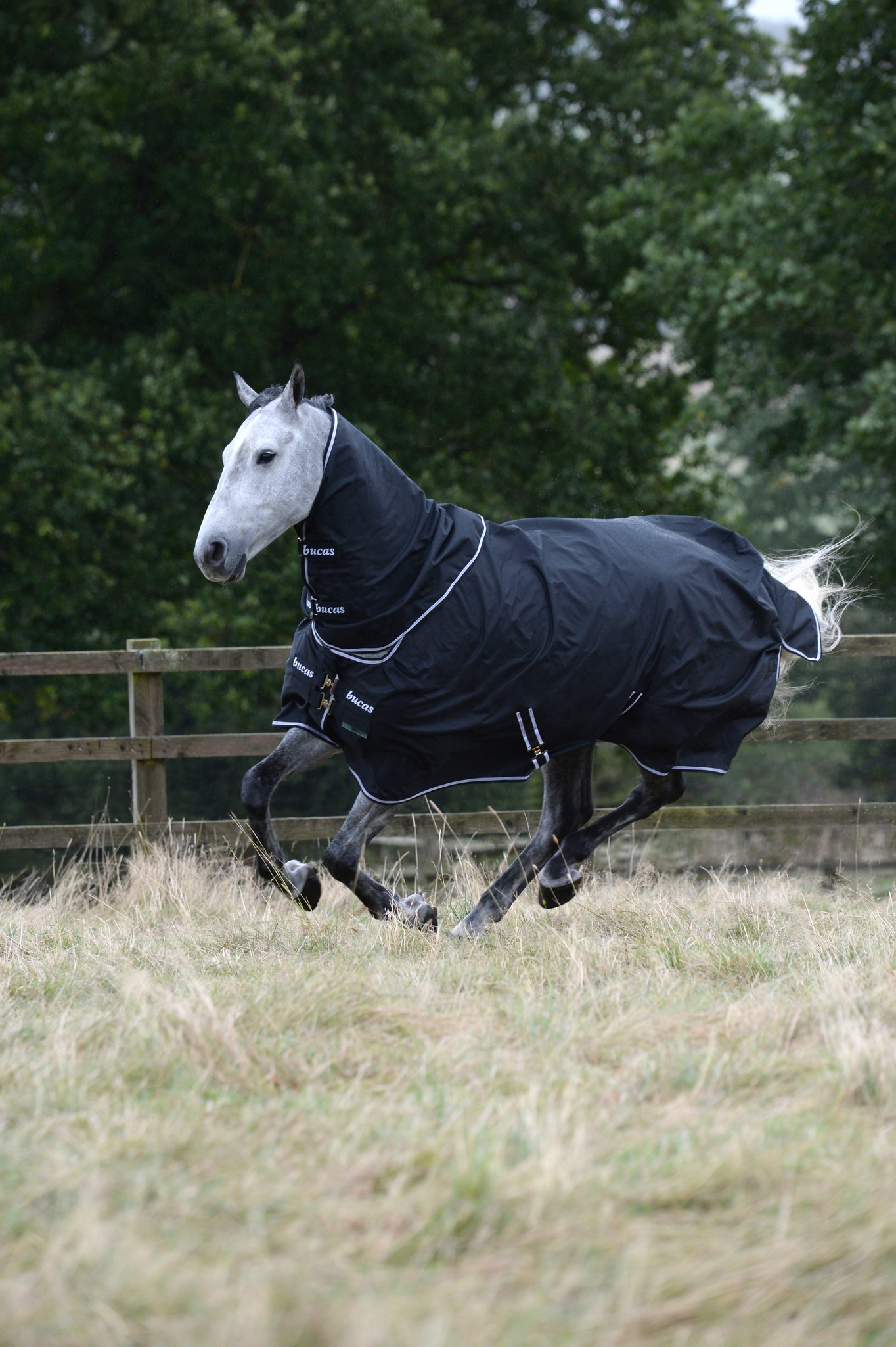 Outdoordecke Trot Turnout 50 g in Black/white