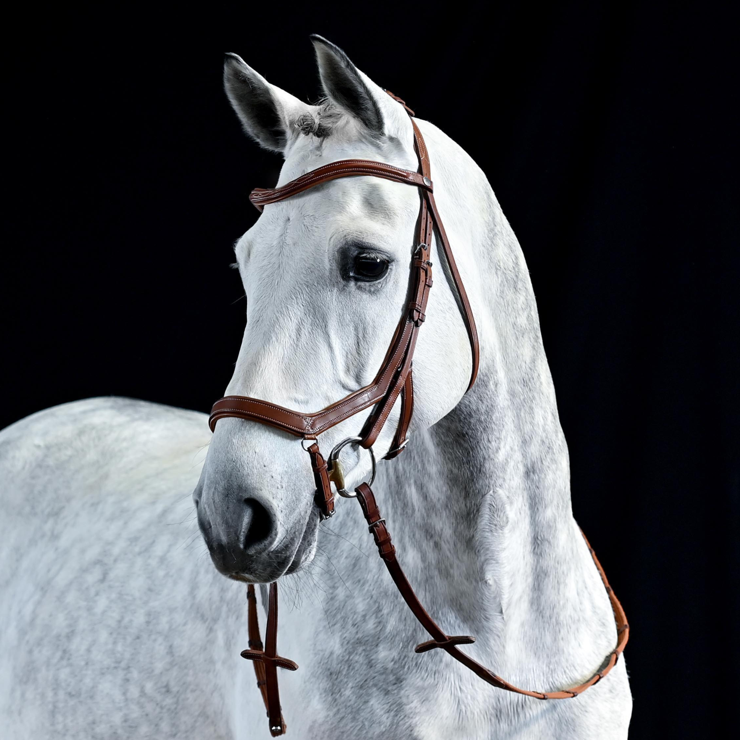 Reithalfter Take-Off Line AN