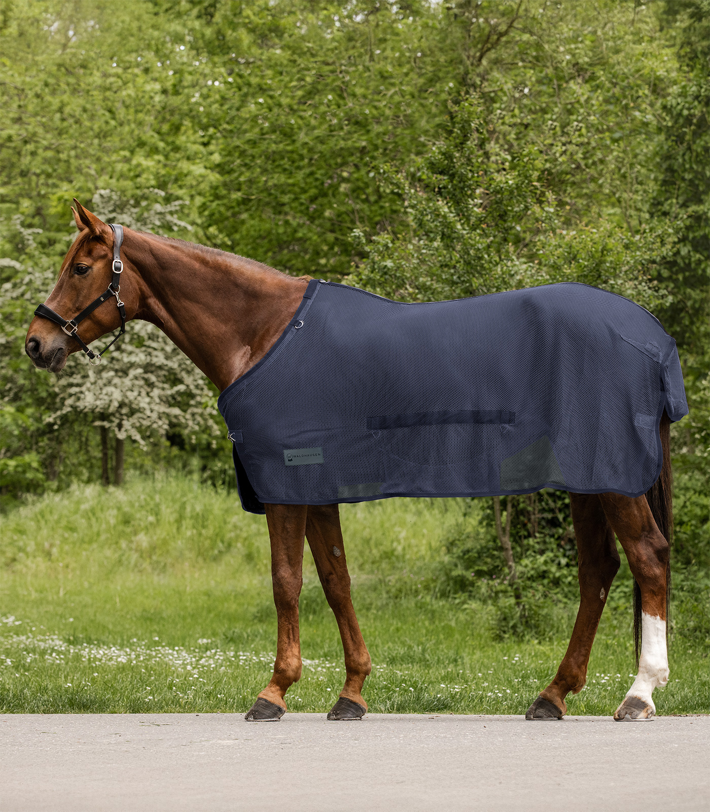 Fliegendecke Comfort mit Bauchlatz