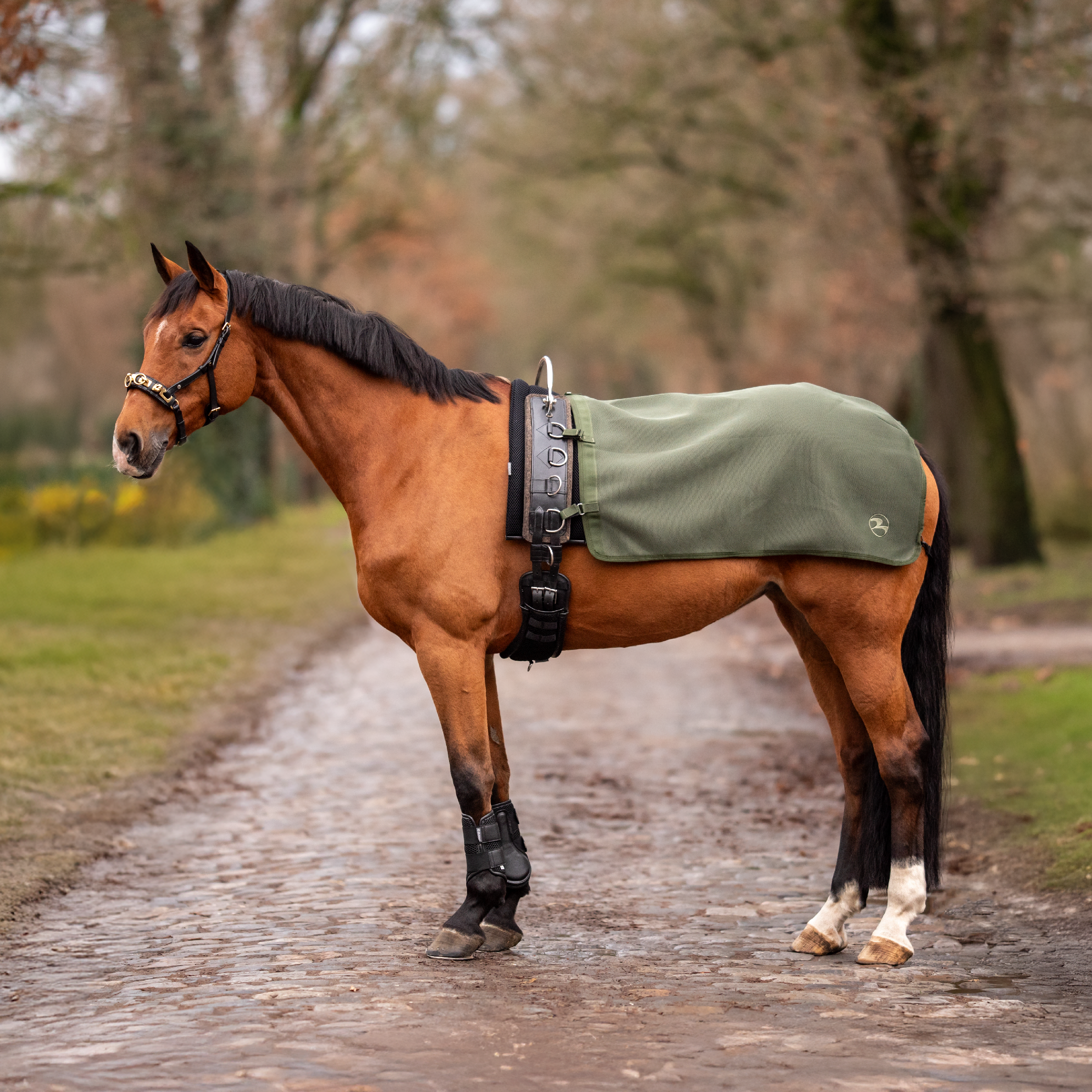 Lunging rug 3D AIR ST