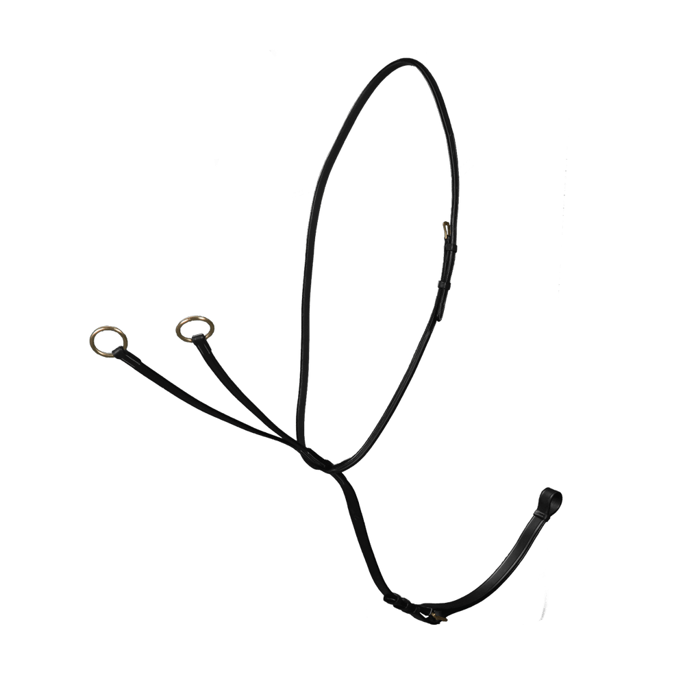 Gleitendes Ringmartingal | Dy'on